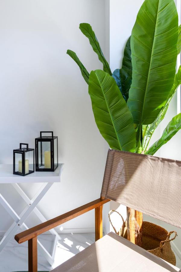 Central Sunny Perch 2 Bed 1 Bath Apartment ไครสต์เชิร์ช ภายนอก รูปภาพ